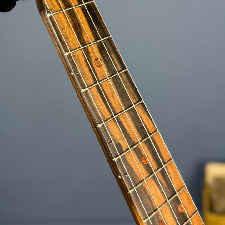 Deering Vega Vintage Star Banjo Deering 5 String Banjos