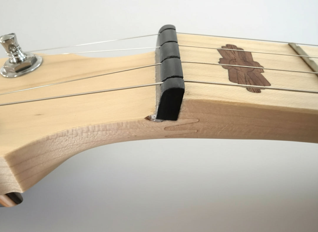 Demo Deering Goodtime 5-String Banjo - Best Beginner Banjo Deering 5 String Banjos