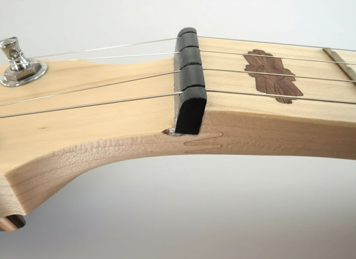 Demo Deering Goodtime 5-String Banjo - Best Beginner Banjo Deering 5 String Banjos