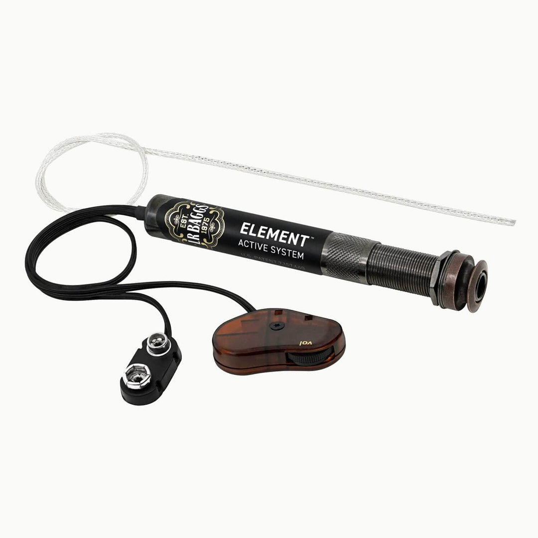 L.R. Baggs Element Active System LR Baggs Guitar Accessories