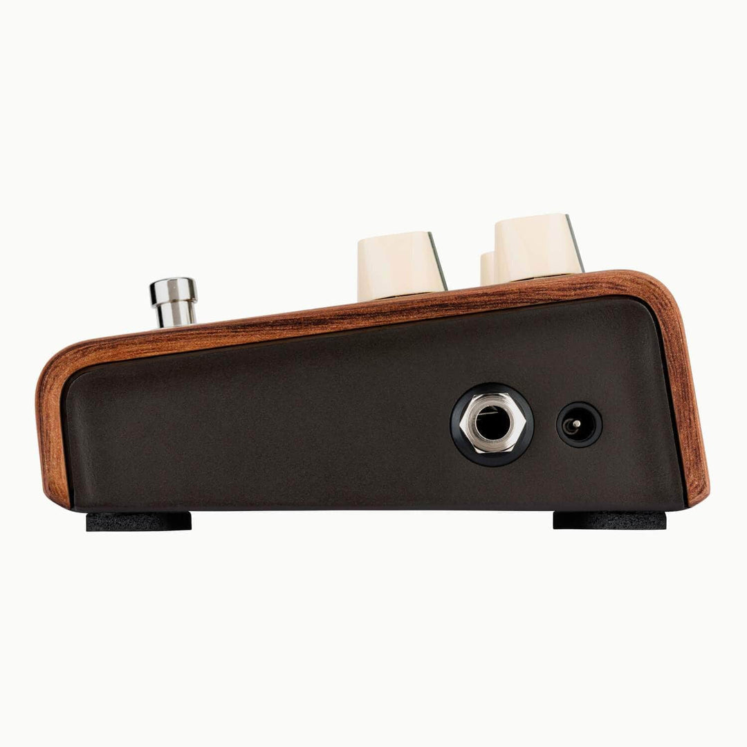 LR Baggs Align Reverb Acoustic Reverb Pedal LR Baggs Guitar Accessories