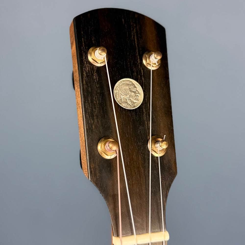 Ode Fretless Walnut Magician Nylon 5-String Openback Banjo 12" Ode Banjos 5 String Banjos