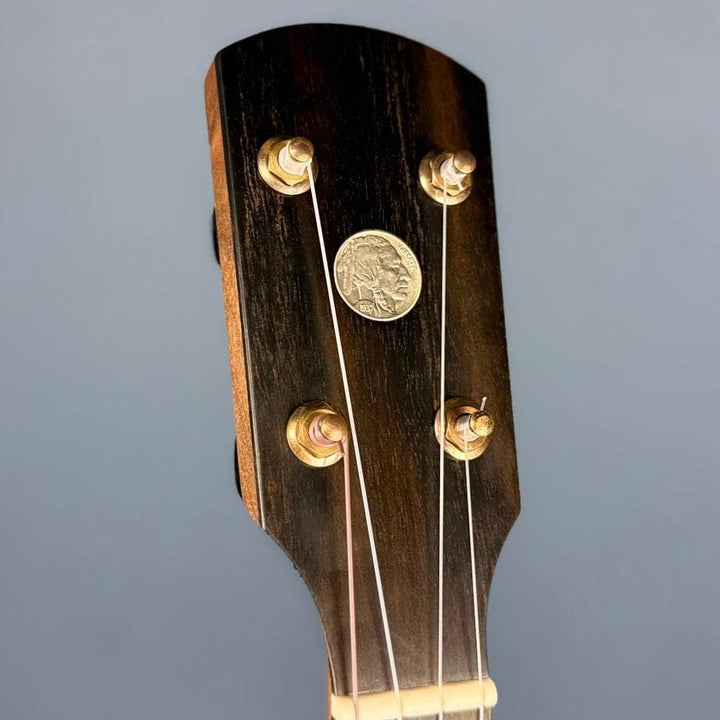 Ode Fretless Walnut Magician Nylon 5-String Openback Banjo 12" Ode Banjos 5 String Banjos