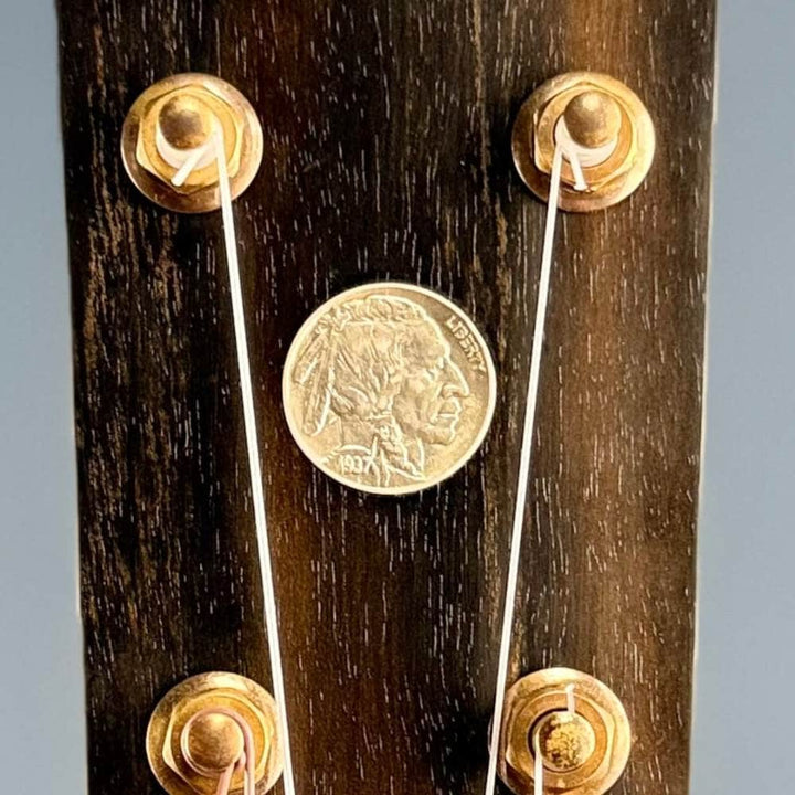 Ode Fretless Walnut Magician Nylon 5-String Openback Banjo 12" Ode Banjos 5 String Banjos