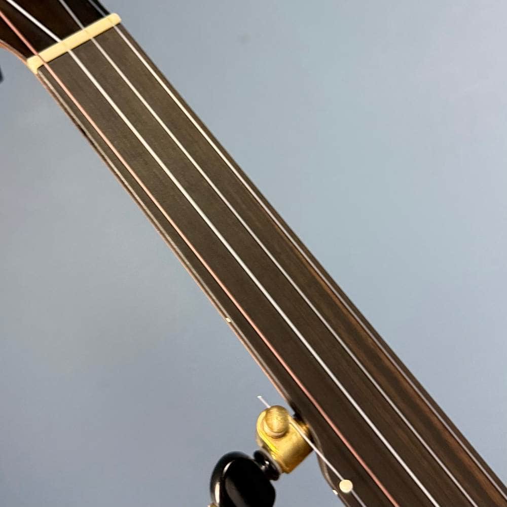 Ode Fretless Walnut Magician Nylon 5-String Openback Banjo 12" Ode Banjos 5 String Banjos