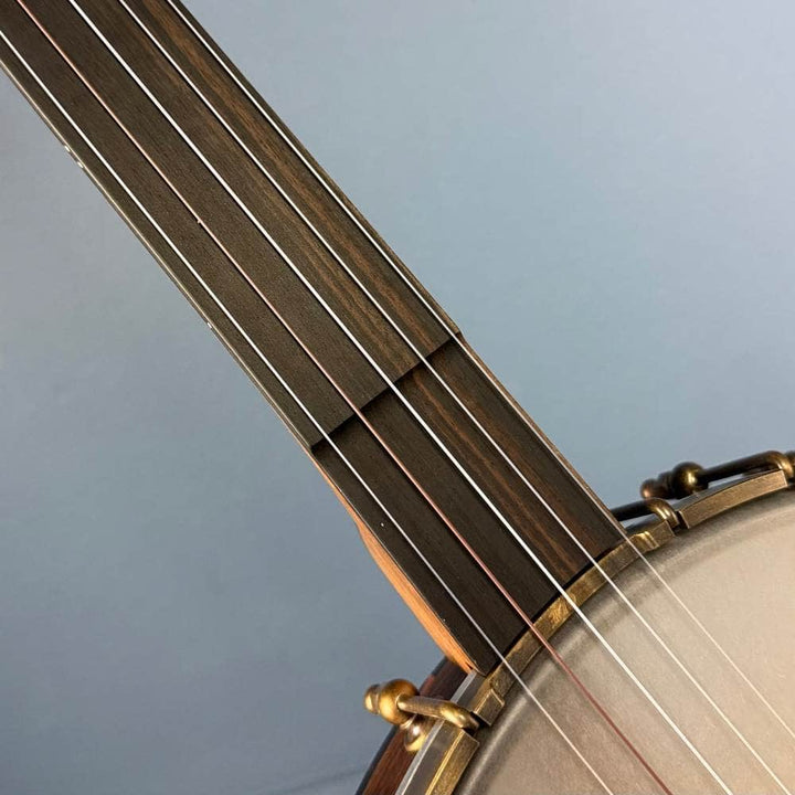 Ode Fretless Walnut Magician Nylon 5-String Openback Banjo 12" Ode Banjos 5 String Banjos