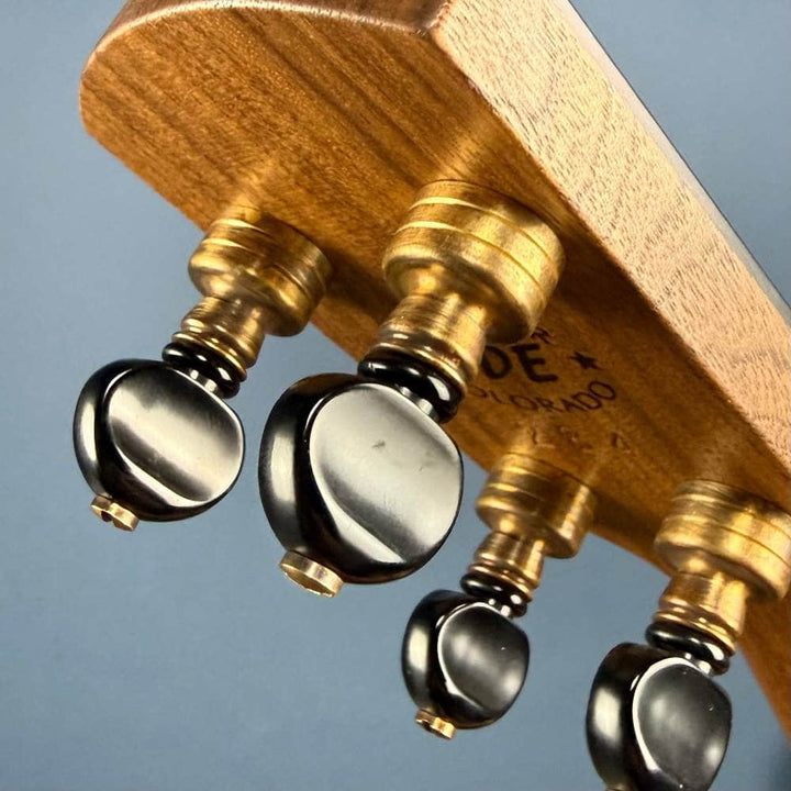 Ode Fretless Walnut Magician Nylon 5-String Openback Banjo 12" Ode Banjos 5 String Banjos