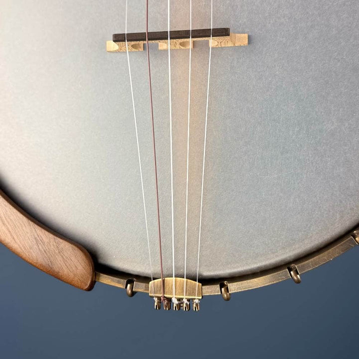 Ode Fretless Walnut Magician Nylon 5-String Openback Banjo 12" Ode Banjos 5 String Banjos