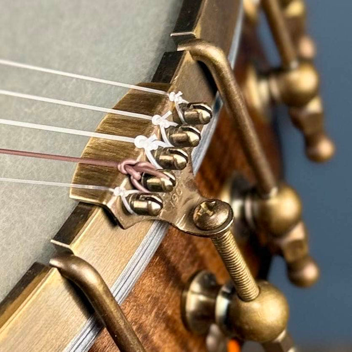 Ode Fretless Walnut Magician Nylon 5-String Openback Banjo 12" Ode Banjos 5 String Banjos