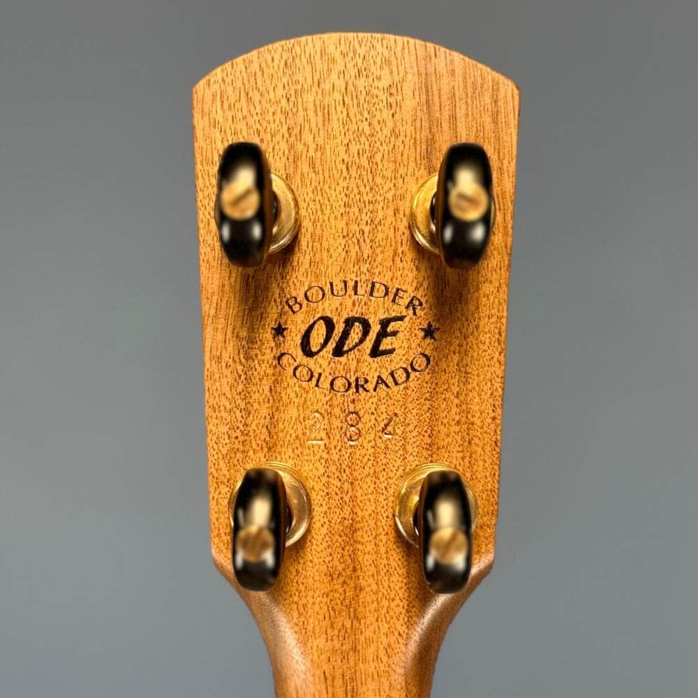 Ode Fretless Walnut Magician Nylon 5-String Openback Banjo 12" Ode Banjos 5 String Banjos