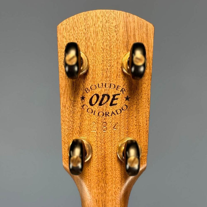 Ode Fretless Walnut Magician Nylon 5-String Openback Banjo 12" Ode Banjos 5 String Banjos