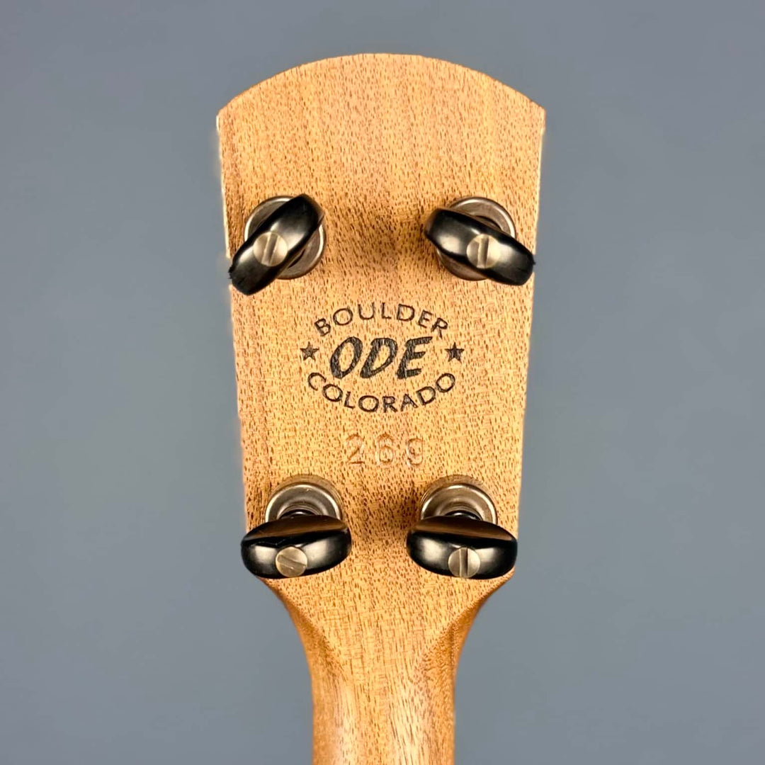 Ode Magician 5-String Openback Banjo 11 inch Cherry Ode Banjos 5 String Banjos