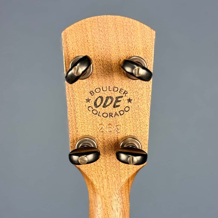 Ode Magician 5-String Openback Banjo 11 inch Cherry Ode Banjos 5 String Banjos