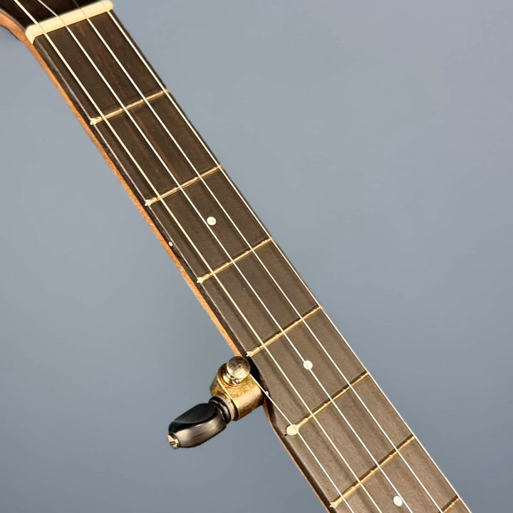 Ode Magician 5-String Openback Banjo 11 inch Cherry Ode Banjos 5 String Banjos
