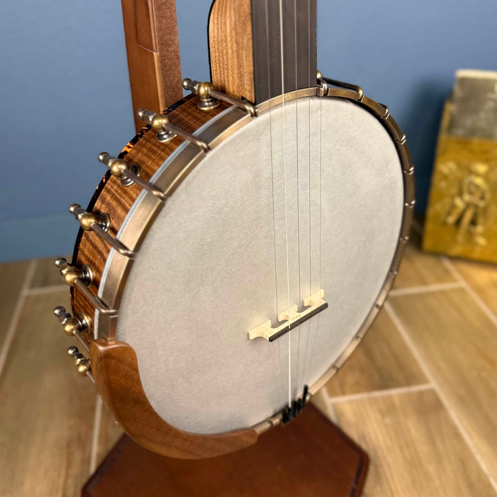 Ode Magician 5-String Openback Banjo 11 inch Cherry Ode Banjos 5 String Banjos