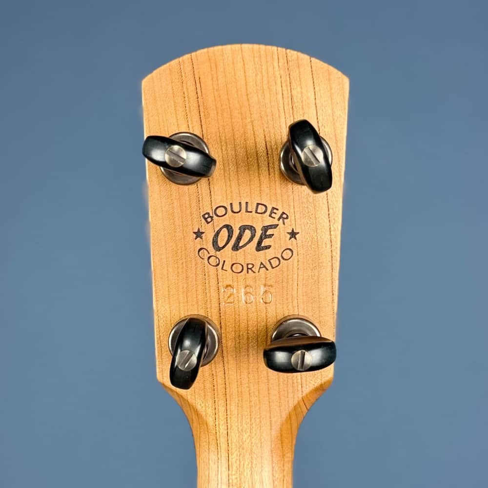 Ode Magician 5-String Openback Banjo 12 inch Walnut Ode Banjos 5 String Banjos