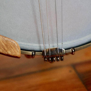 Ode Tenor Banjo - 12" openback Ome Banjos 4 String Banjos