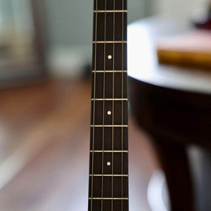 Ode Tenor Banjo - 12" openback Ome Banjos 4 String Banjos