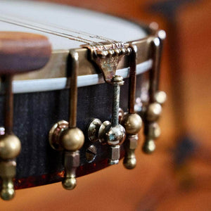Ode Tenor Banjo - 12" openback Ome Banjos 4 String Banjos