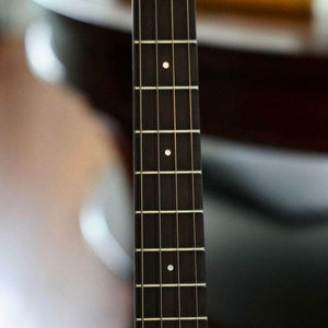 Ode Tenor Banjo - 12" openback Ome Banjos 4 String Banjos