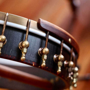 Ode Tenor Banjo - 12" openback Ome Banjos 4 String Banjos