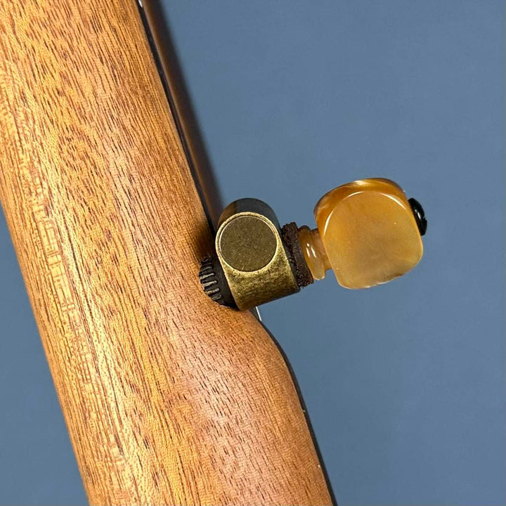 Ome Alpha 5-String Banjo 14-Brackets Ome Banjos 5 String Banjos