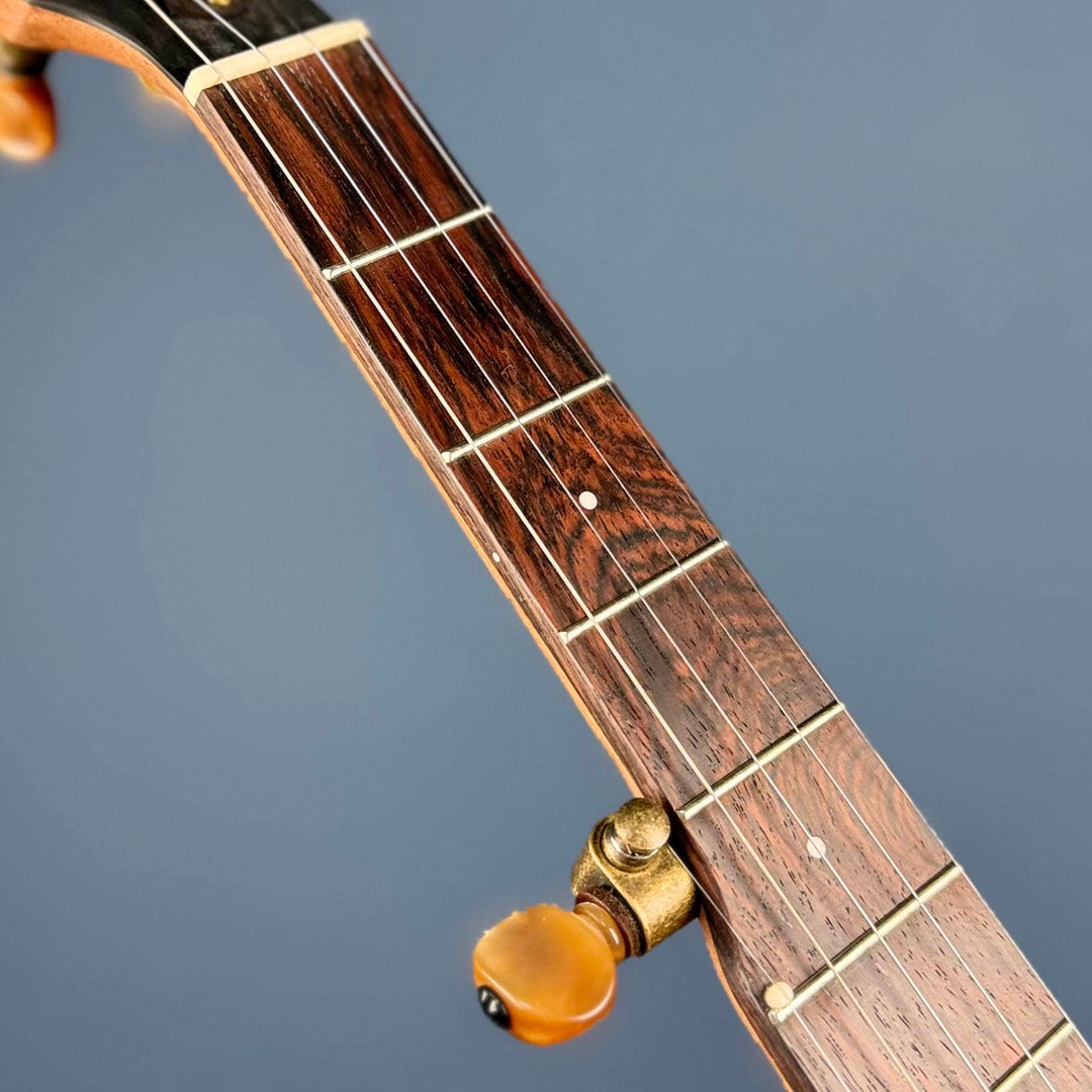 Ome Alpha 5-String Banjo 14-Brackets Ome Banjos 5 String Banjos