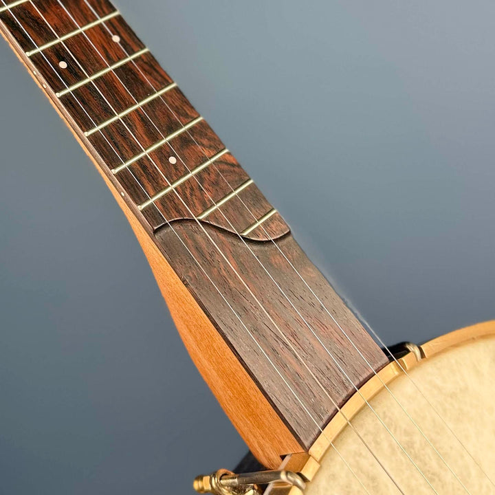 Ome Alpha 5-String Banjo 14-Brackets Ome Banjos 5 String Banjos