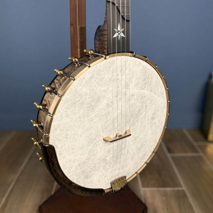 Ome Juniper 12" 5-String Openback Curly Maple Banjo #140 Ome Banjos 5 String Openback Banjo