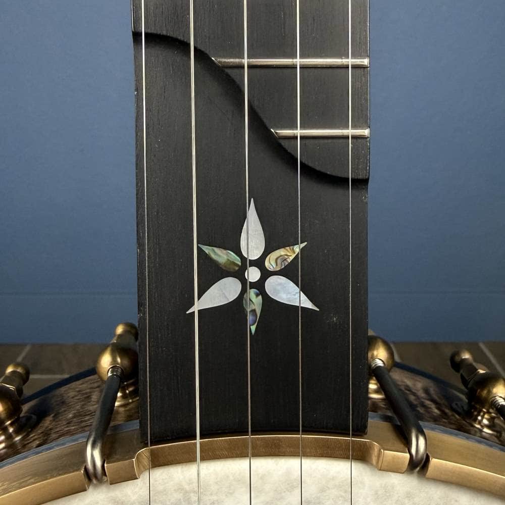 Ome Juniper 12" 5-String Openback Curly Maple Banjo #140 Ome Banjos 5 String Openback Banjo