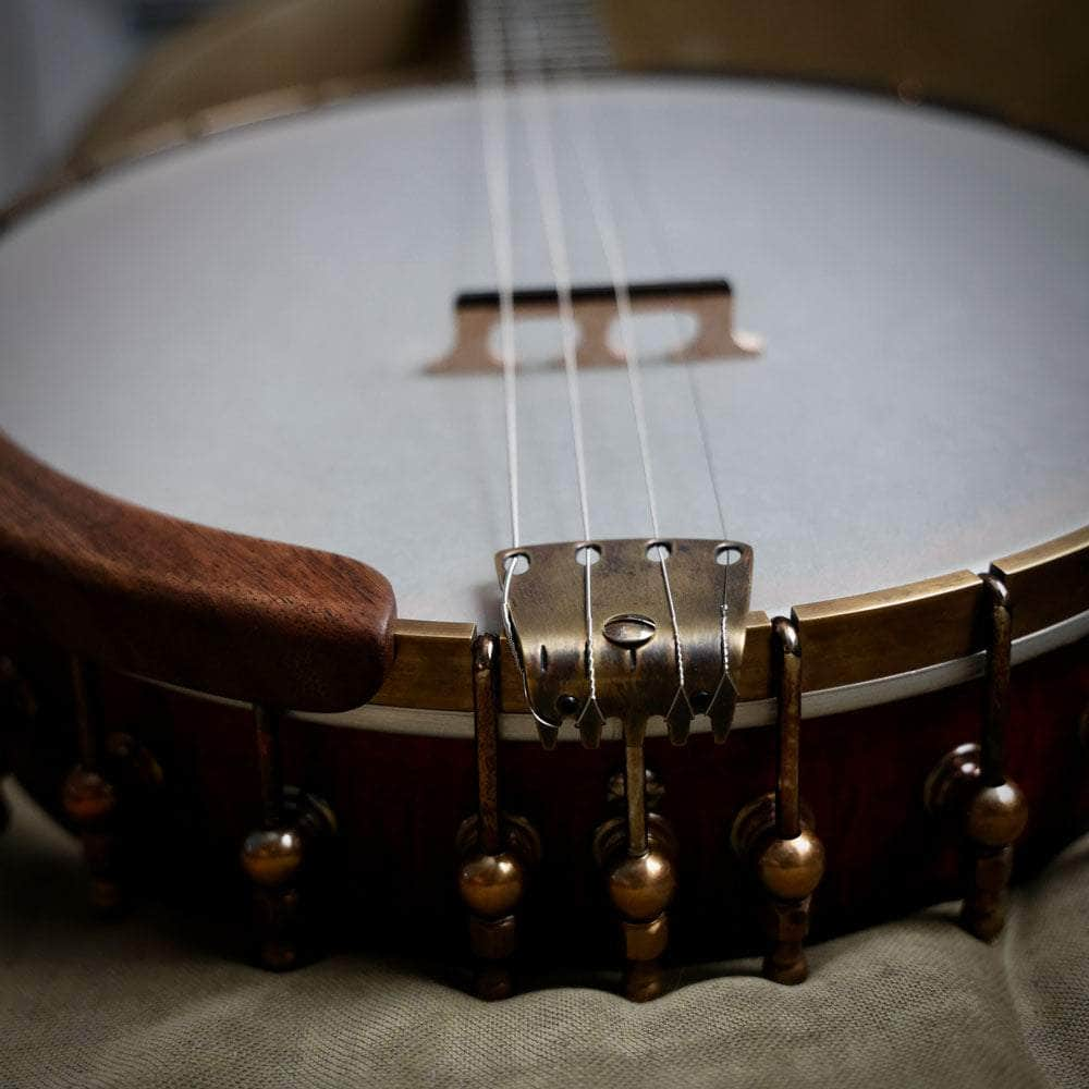 Ome Juniper 19-Fret Tenor Banjo - Irish Setup Ome Banjos 4 String Banjos