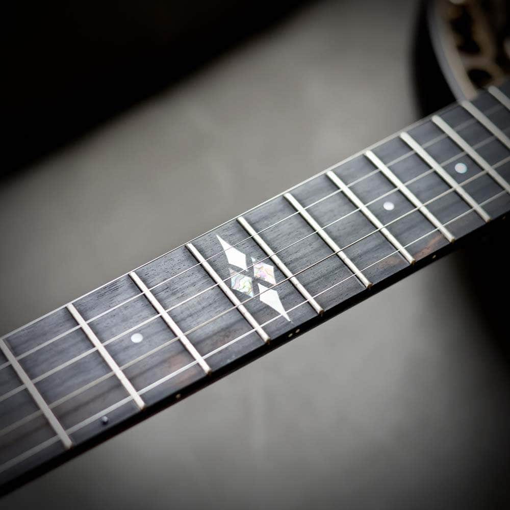 Ome North Star 5-String Banjo Ome Banjos 5 String Banjos