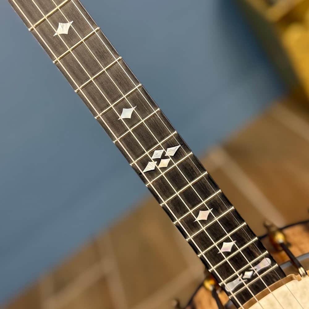 Ome Wicklow 11" 19-Fret Tenor Curly Maple Openback Banjo with Vintage Tone Ring Ome Banjos 4 String Banjos