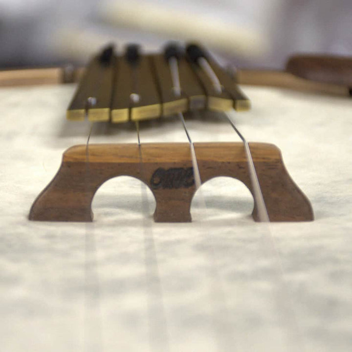 Ome Wicklow 11" 19-Fret Tenor Walnut Open Back Banjo Ome Banjos 4 String Banjos