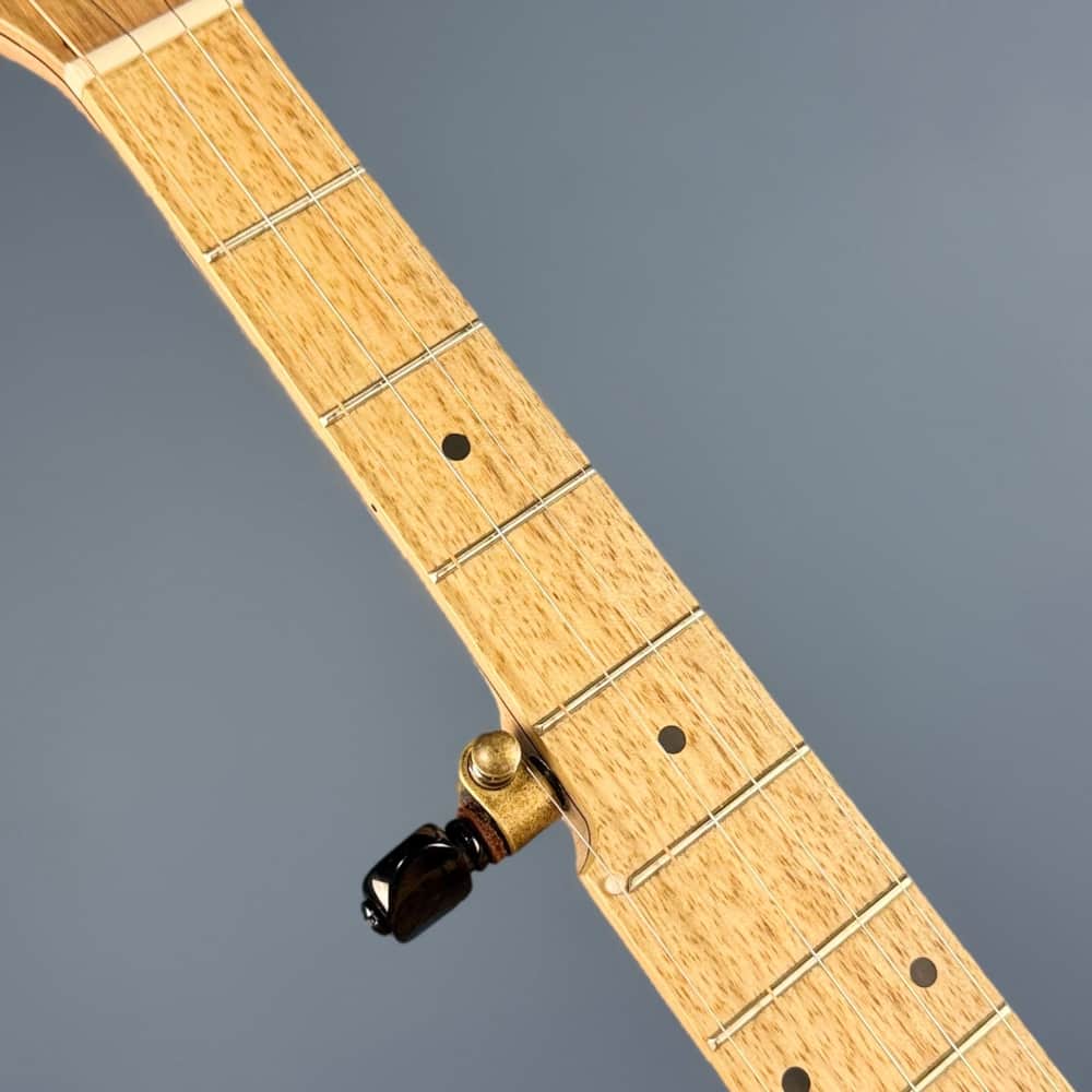 Pisgah 12" Cherry Possum 5-String Banjo Pisgah 5 String Banjos