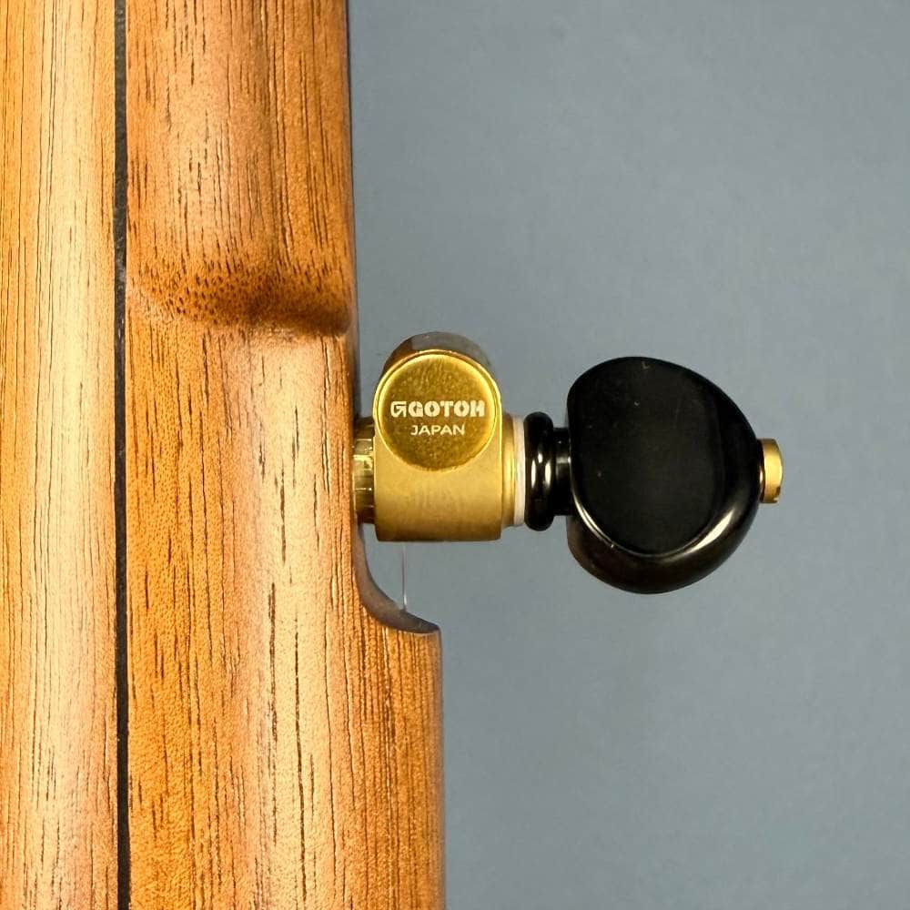 Pisgah 12" Rambler Special 5-String Banjo Walnut Neck with Copper Spun Pisgah 5 String Banjos