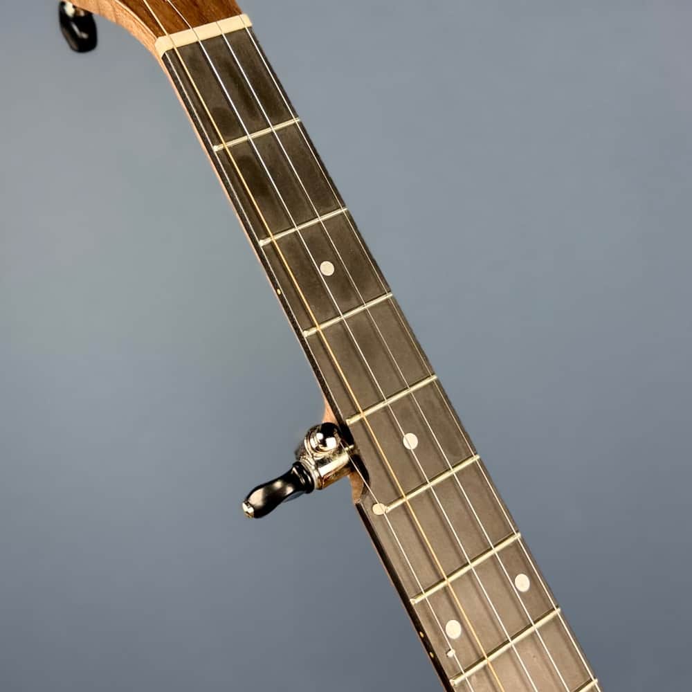 Pisgah 12” Woodchuck 5-String Banjo Pisgah 5 String Banjos