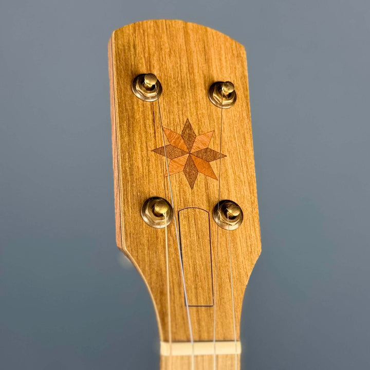 Pisgah Dobson 11" 5-String Banjo with Walnut Rim and Neck, Persimmon Fretboard Pisgah 5 String Banjos