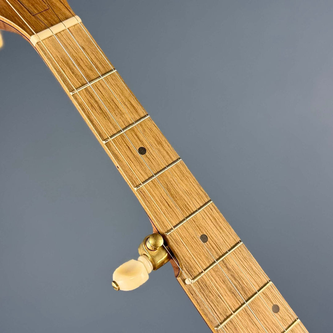 Pisgah Dobson 11" 5-String Banjo with Walnut Rim and Neck, Persimmon Fretboard Pisgah 5 String Banjos