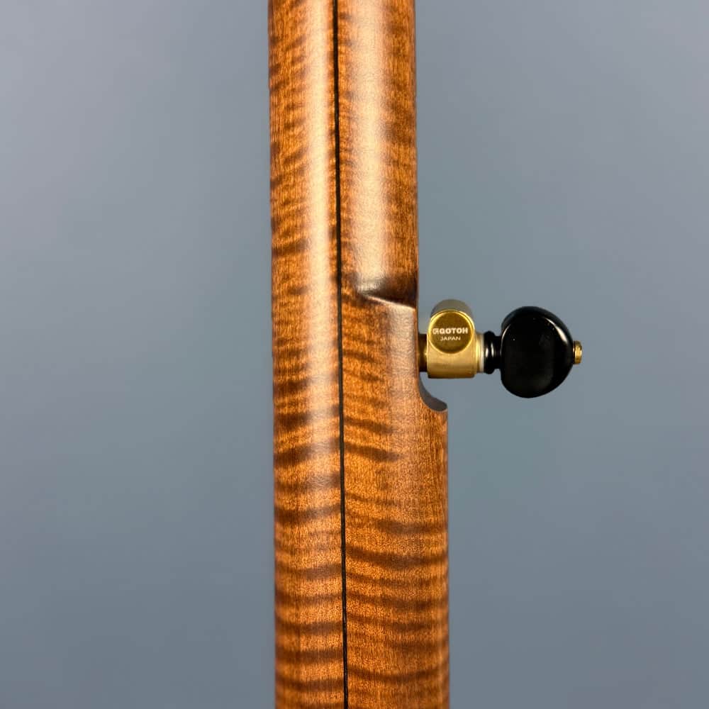 Pisgah Dobson Pro - 12" Curly Maple 5-String Openback S-Scoop Pisgah 5 String Banjos