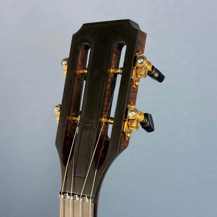 Pisgah Dobson Pro - 12" Curly Maple 5-String Openback S-Scoop Pisgah 5 String Banjos