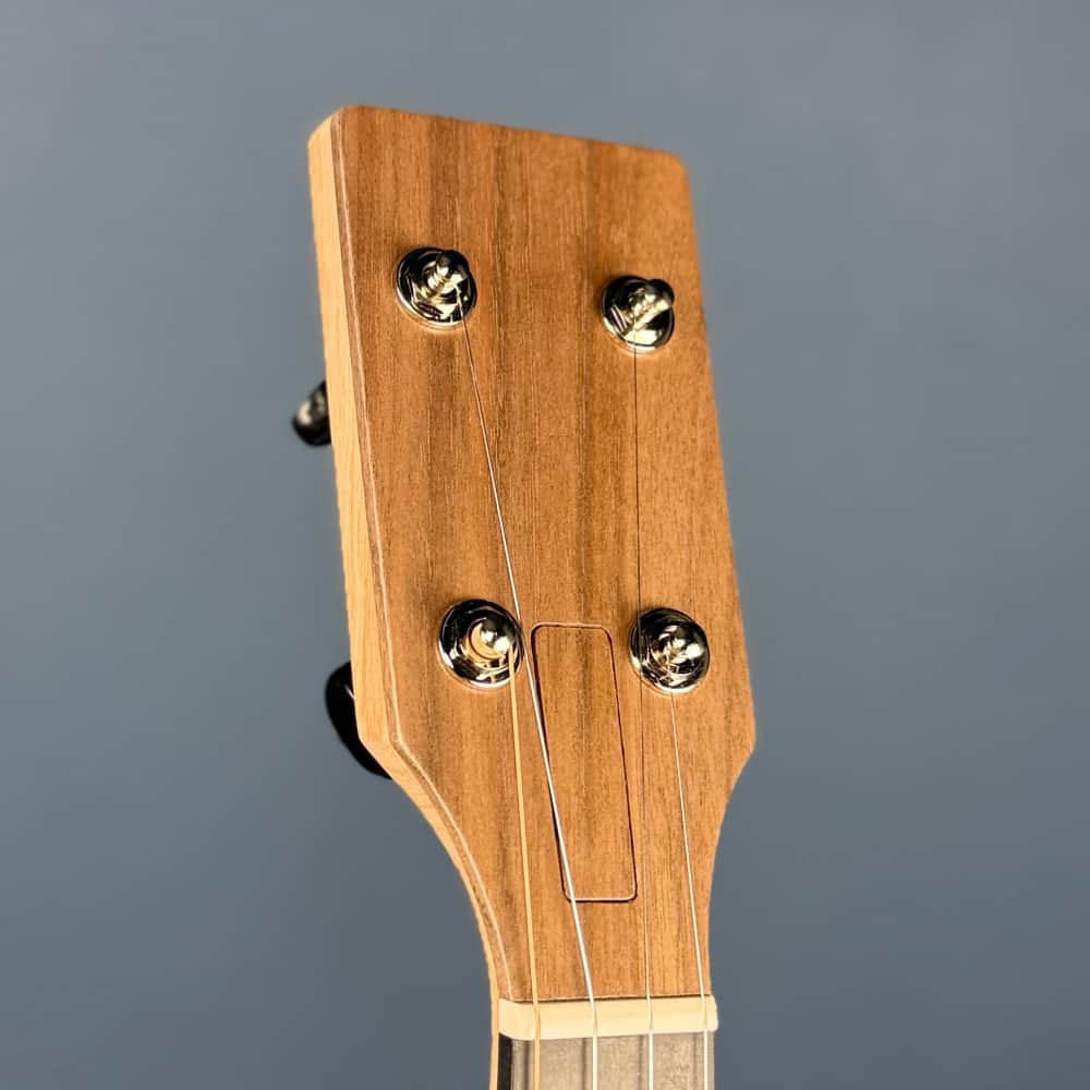 Pisgah Roscoe 5-String Banjo Pisgah 5 String Banjos