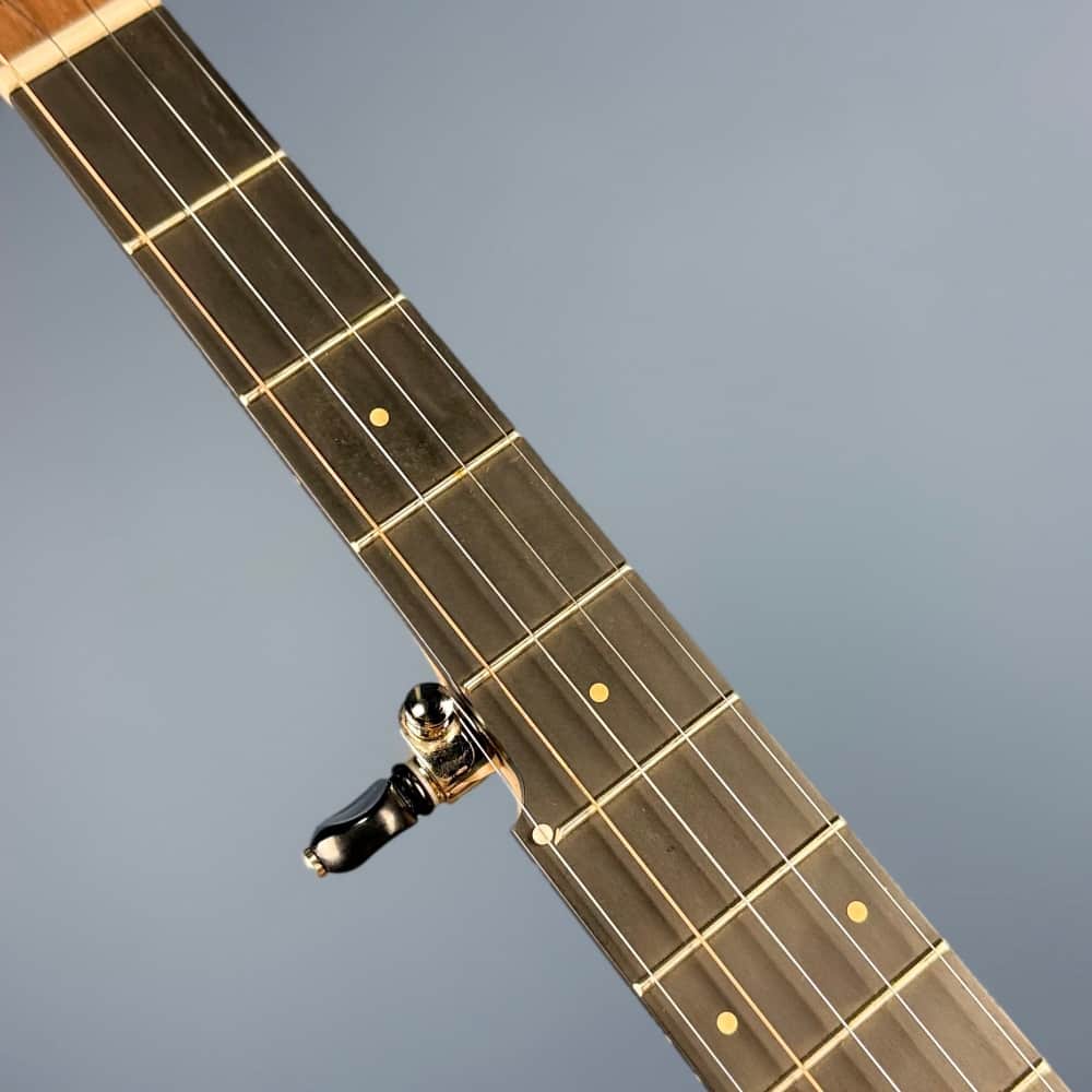 Pisgah Roscoe 5-String Banjo Pisgah 5 String Banjos