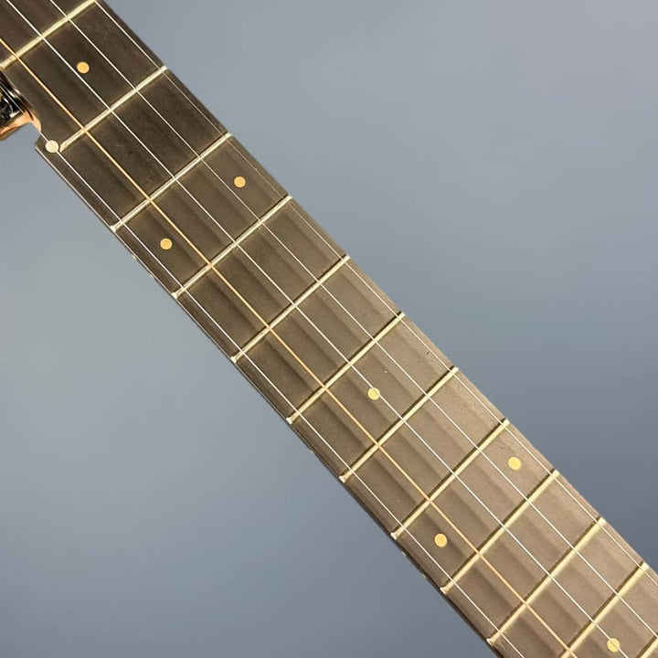 Pisgah Roscoe 5-String Banjo Pisgah 5 String Banjos