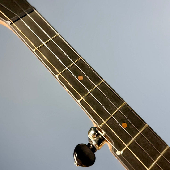 Pisgah Walnut Rambler Dobson 5-String Banjo with 12" Pisgah 5 String Banjos
