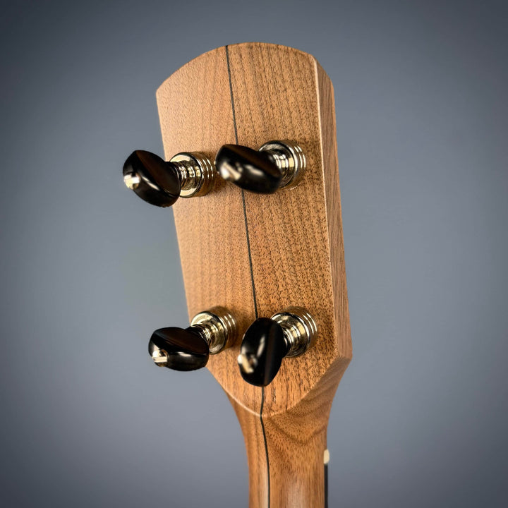 Pisgah Woodchuck 5-String Banjo Pisgah 5 String Banjos