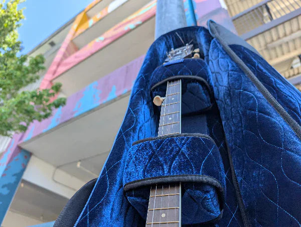 Reunion Blues RB Expedition Banjo Case Reunion Blues Banjo Cases