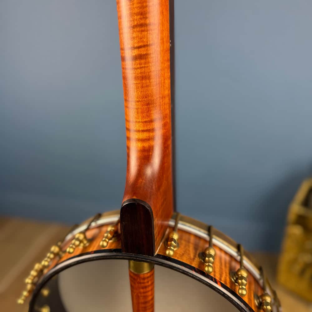 Starr Limited Edition 11" 5-String Openback Banjo Starr Banjos 5 String Banjos