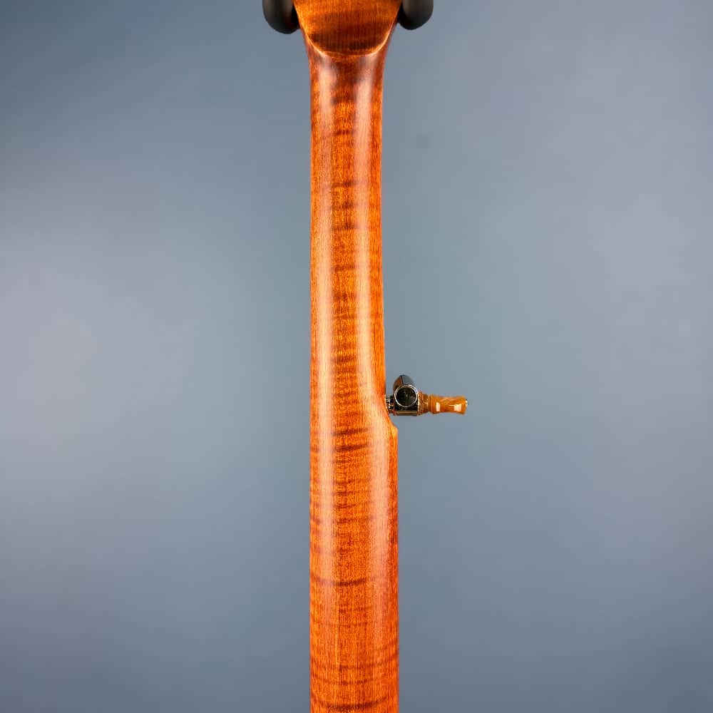 Starr Limited Edition 11" 5-String Openback Banjo Starr Banjos 5 String Banjos