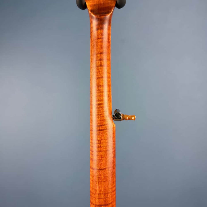 Starr Limited Edition 11" 5-String Openback Banjo Starr Banjos 5 String Banjos